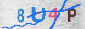 キャプチャ画像
