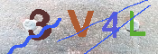 キャプチャ画像