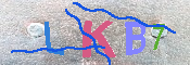 キャプチャ画像