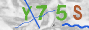 キャプチャ画像