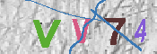 キャプチャ画像