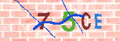 キャプチャ画像
