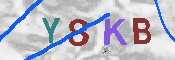キャプチャ画像