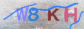 キャプチャ画像