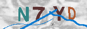 キャプチャ画像