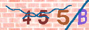 キャプチャ画像