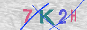 キャプチャ画像