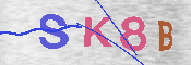 キャプチャ画像