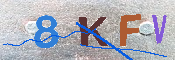 キャプチャ画像