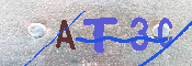 キャプチャ画像