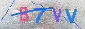 キャプチャ画像