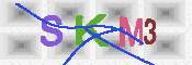 キャプチャ画像