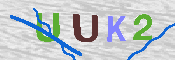 キャプチャ画像