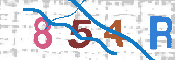 キャプチャ画像