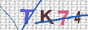 キャプチャ画像