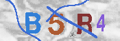 キャプチャ画像