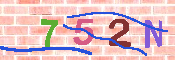 キャプチャ画像