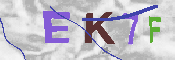 キャプチャ画像