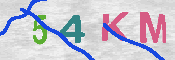 キャプチャ画像