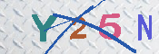 キャプチャ画像