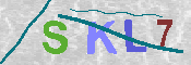 キャプチャ画像