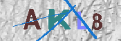 キャプチャ画像