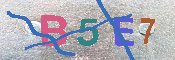 キャプチャ画像