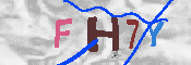 キャプチャ画像