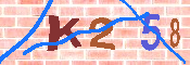 キャプチャ画像
