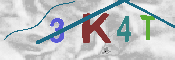 キャプチャ画像