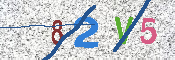 キャプチャ画像