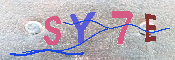 キャプチャ画像