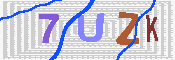 キャプチャ画像