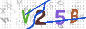 キャプチャ画像