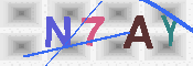 キャプチャ画像
