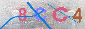 キャプチャ画像