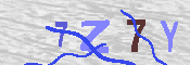 キャプチャ画像