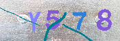 キャプチャ画像