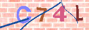 キャプチャ画像