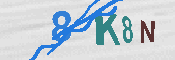 キャプチャ画像