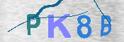 キャプチャ画像