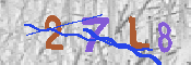 キャプチャ画像