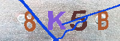 キャプチャ画像