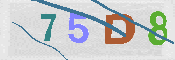 キャプチャ画像