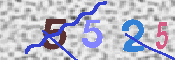 キャプチャ画像