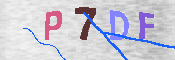 キャプチャ画像