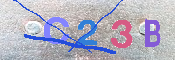 キャプチャ画像